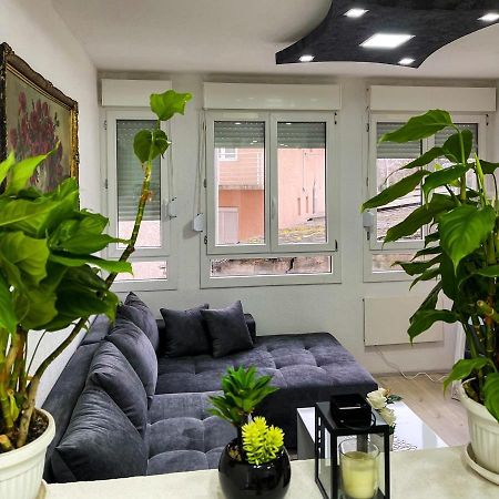 Apartment Tatjana Kragujevac Exteriér fotografie